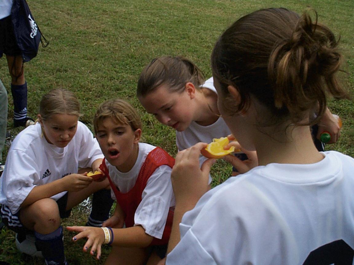 Sparks Soccer Team 6983