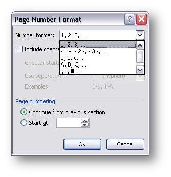 [MSWord 2007 page number format dialog box]