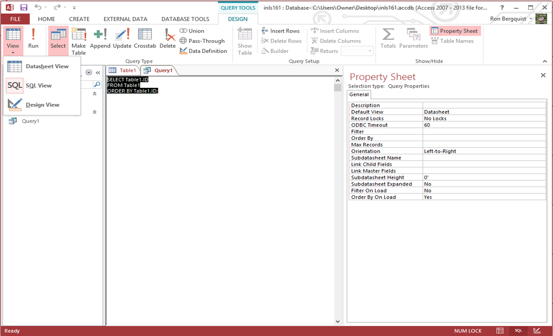 [MSAccess 2013 query SQL view]