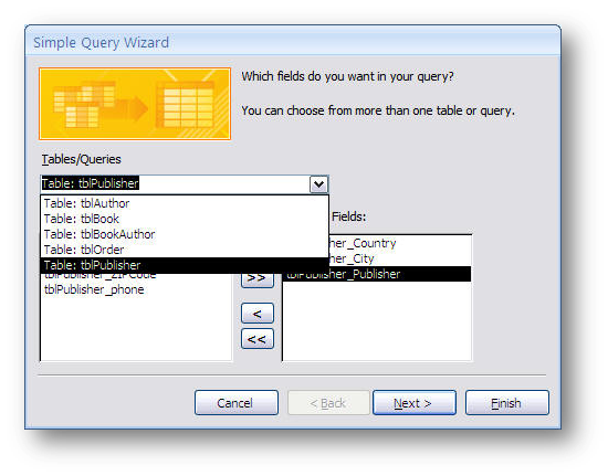 query wizard in operation