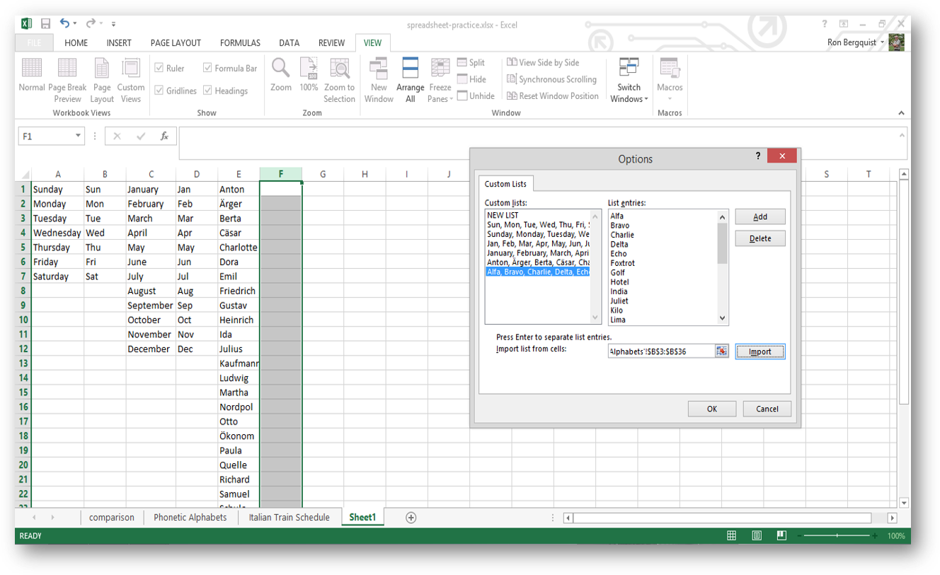[MSExcel 2013 auto fill options]
