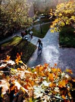 UNC campus in the fall