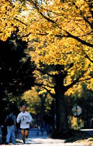 Jogger on UNC campus in the fall.