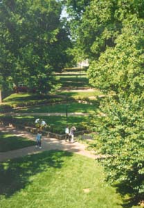 View from Manning Hall