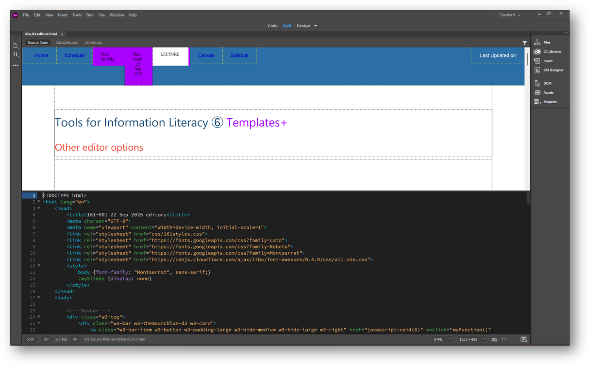 our home page code as seen in Dreamweaver