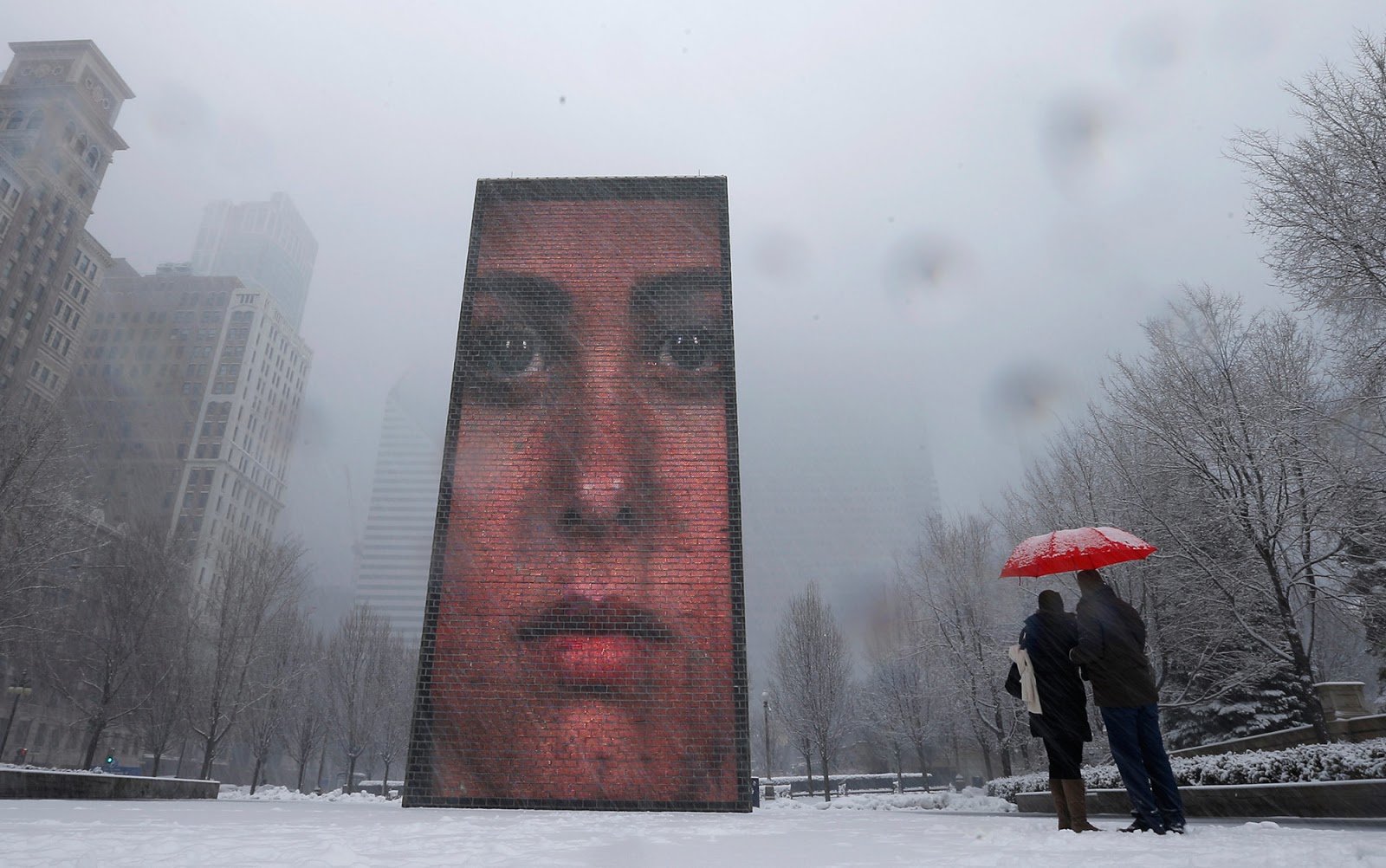 from the Nguyen article