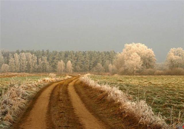 a road(?) to somewhere, from The Guardian