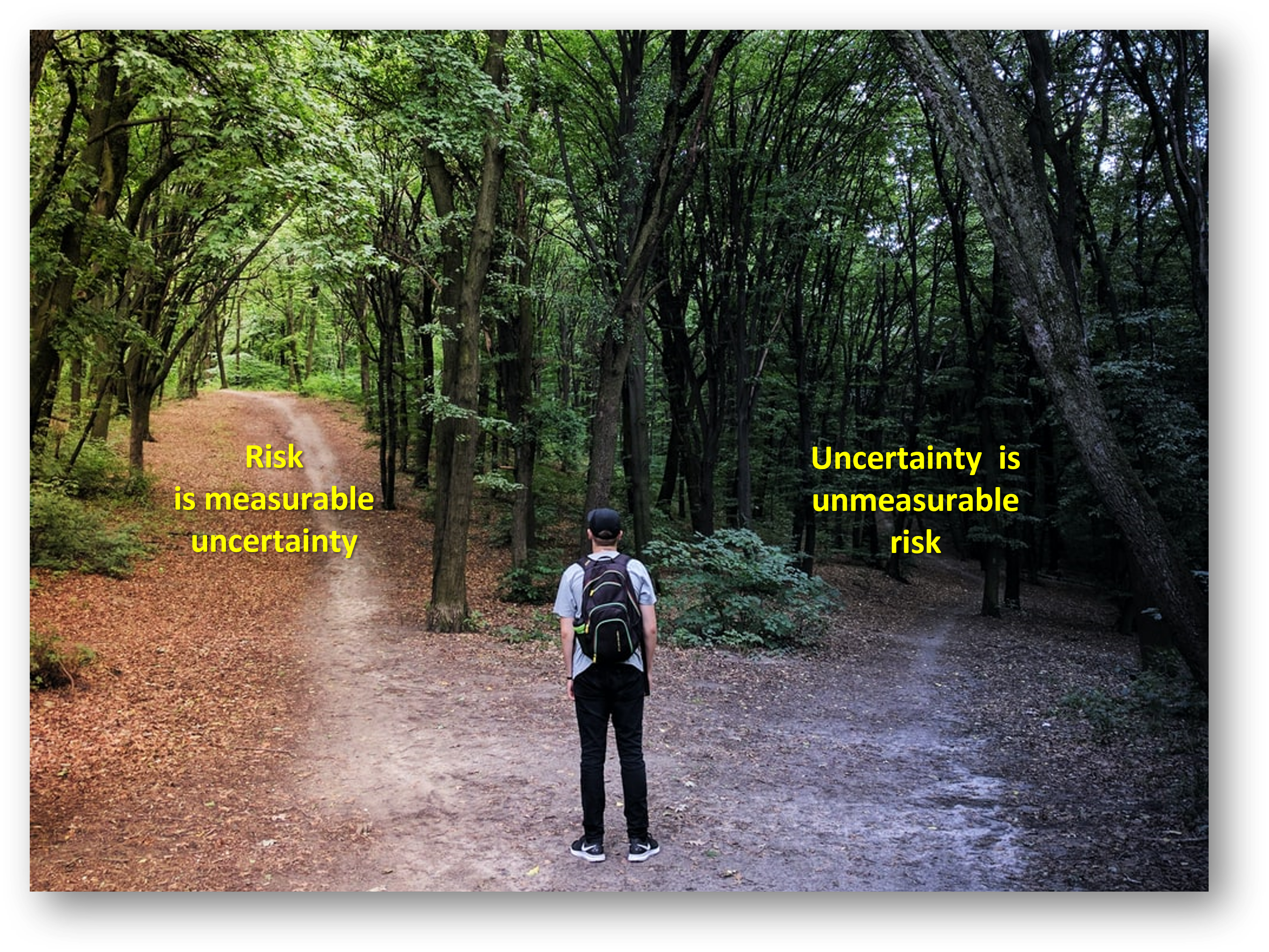 Holosiivs'kyy Park, Kiev, Ukrainen by Vladislav Babienko https://unsplash.com/@garri