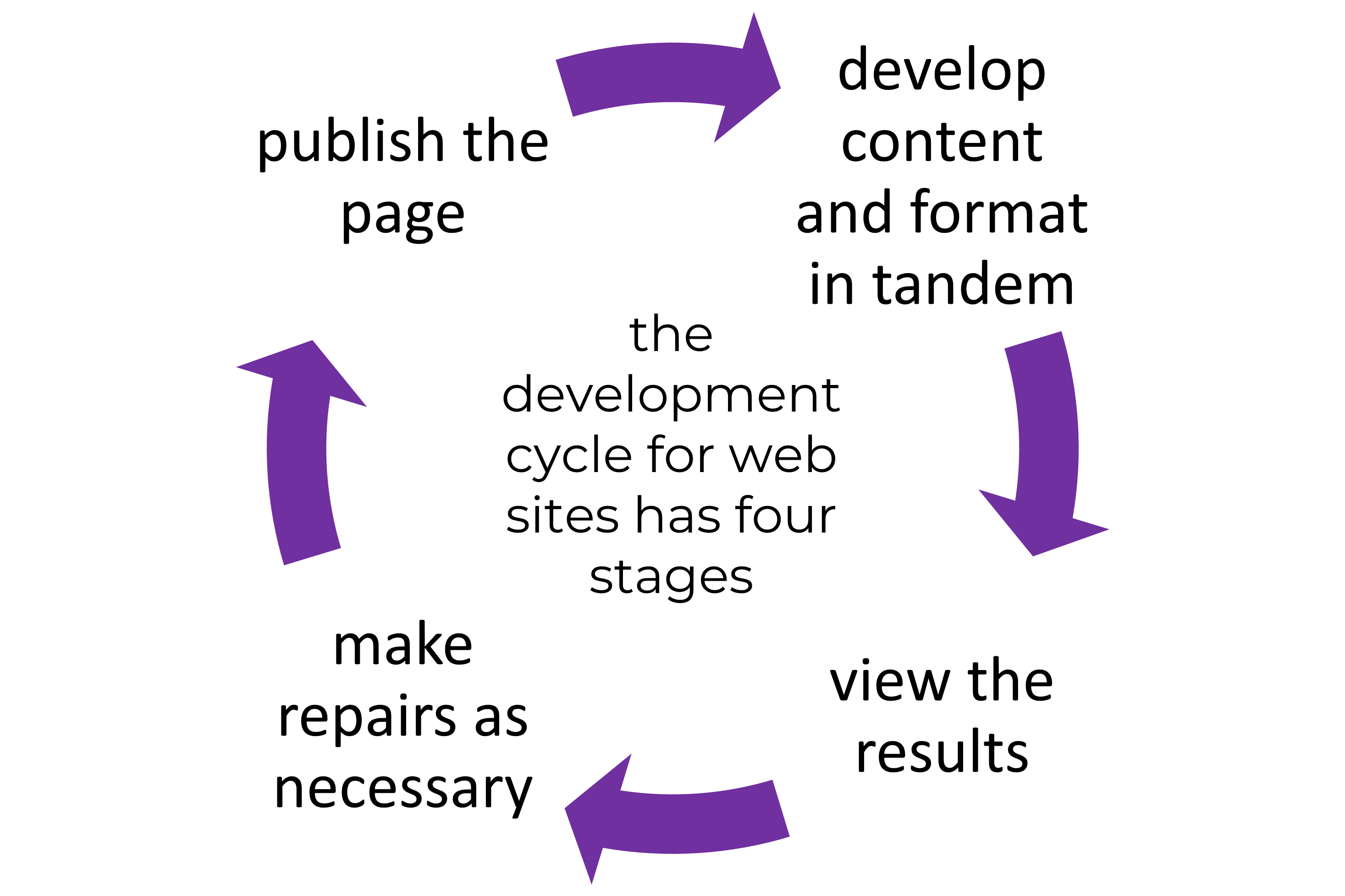the development cycle