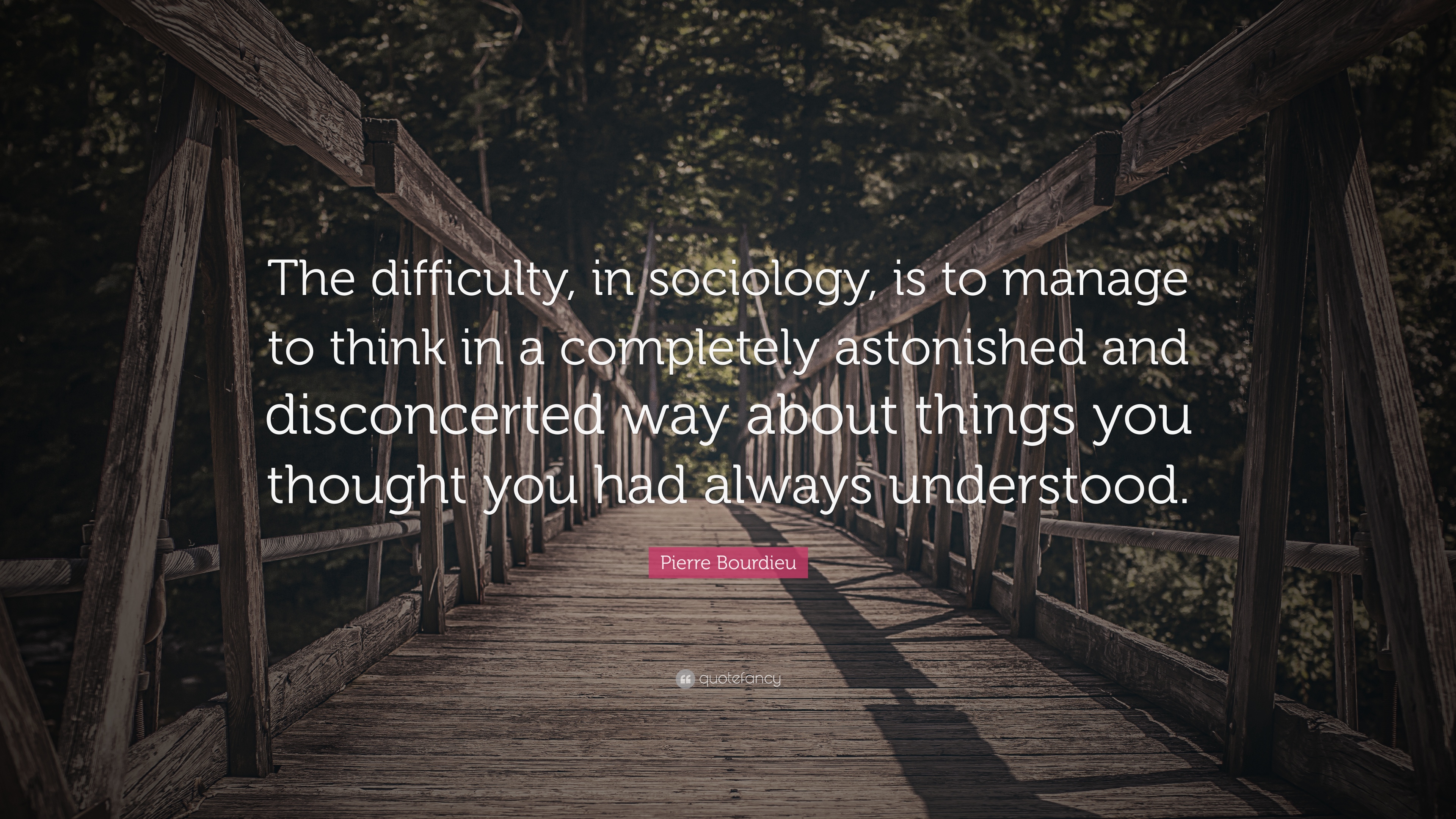 a quote from Pierre Bourdieu