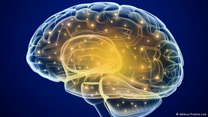 the brain, from Deutsche Welle