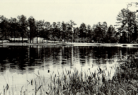 [The swimming area at Pinebluff Lake.]