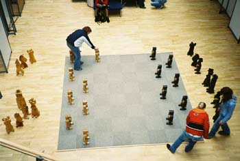 09-LiberecLibrary-chess